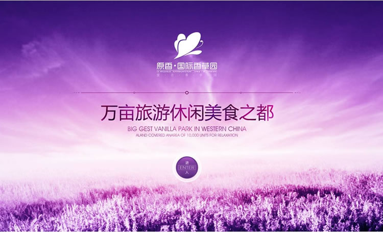 为开云体育赞助阿斯顿维拉量身定制开发